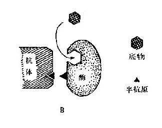 EMIT原理示意图