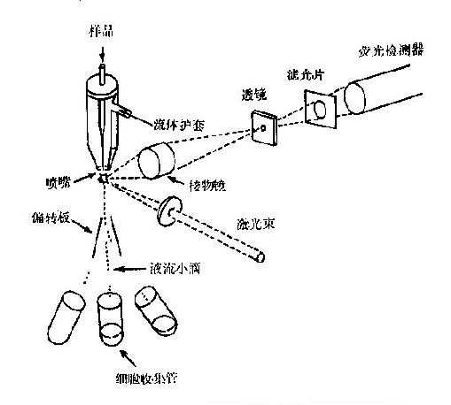 荧光激活细胞分离仪简图