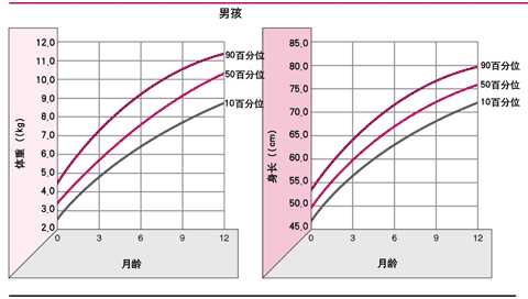 婴儿第一年(男)