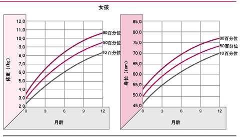 婴儿第一年(女)