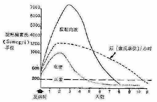 各种体液内淀粉酶值，在血清淀粉酶恢复正常时，尿淀粉酶仍高