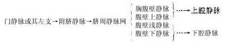 通过脐周静脉网形成门一上、下腔静脉侧副循环