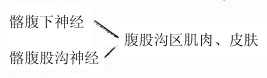 躯体神经