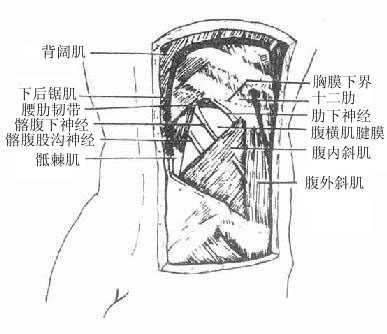 腰上三角