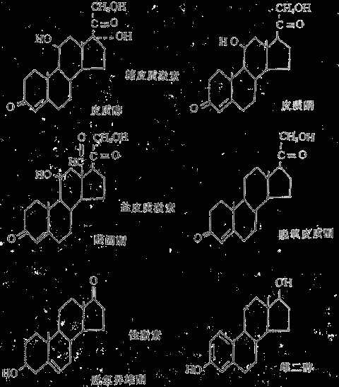 几种主要的肾上腺皮质激素有化学结构