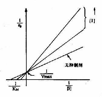 竞争性抑制