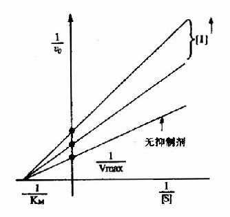 非竞争性抑制