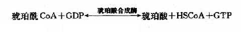 底物磷酸化生成ATP