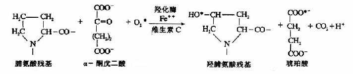 羟基化修饰