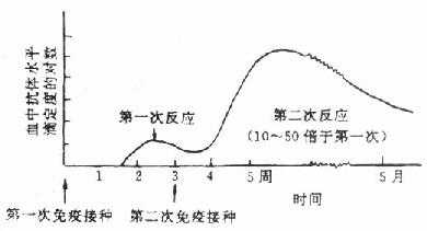 抗体反应