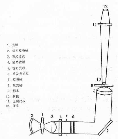 荧光显微镜的结构和主要部件