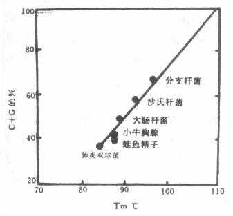 DNA和Tm值与G-C含量的关系