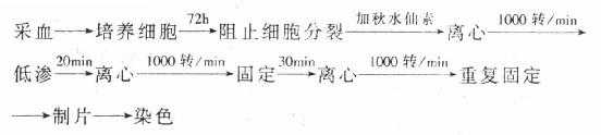外周血培养染色体技术