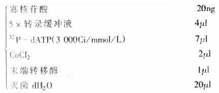 标记反应液