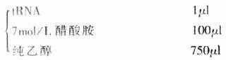 探针沉淀液