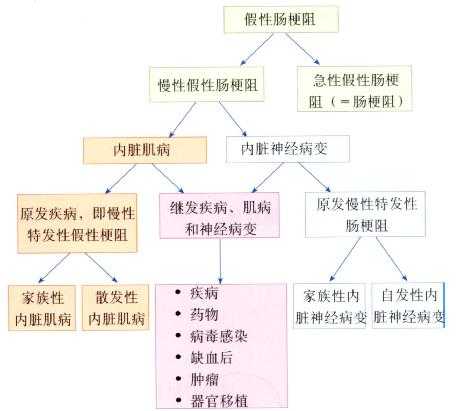 假性肠梗阻。