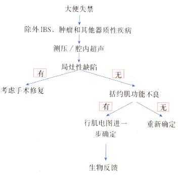 大便失禁病人处理流程