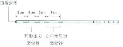 Castell测压导管