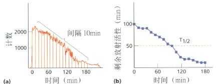 图示(a)试餐后碘衰变曲线,(b)餐后各时间段放射性活性剩余量