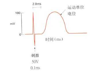 终末运动潜伏期