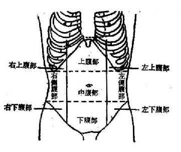 腹部体表分区示意图(九区法)