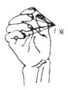 十宣