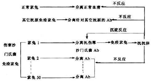 独特型抗原特异实验(Oudin,1963)