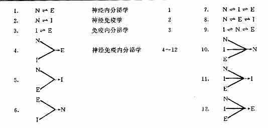 N、I、E间的作用和联系方式及相应学科划分