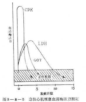 血清酶
