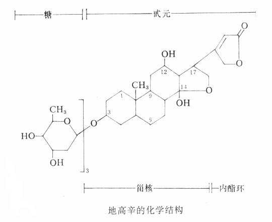 强心甙