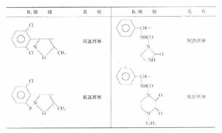 青霉素类各种重要药理特性