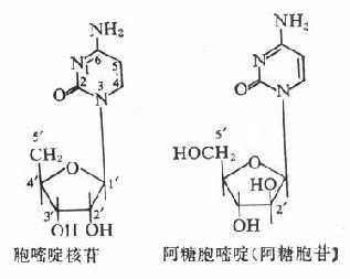 阿糖胞苷