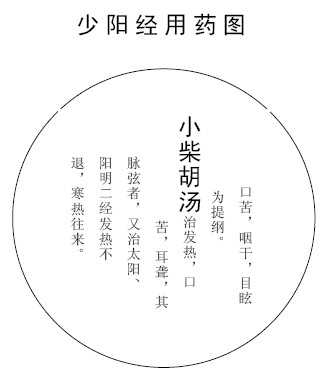 少阳经用药图