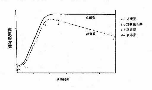 细菌的生长曲线