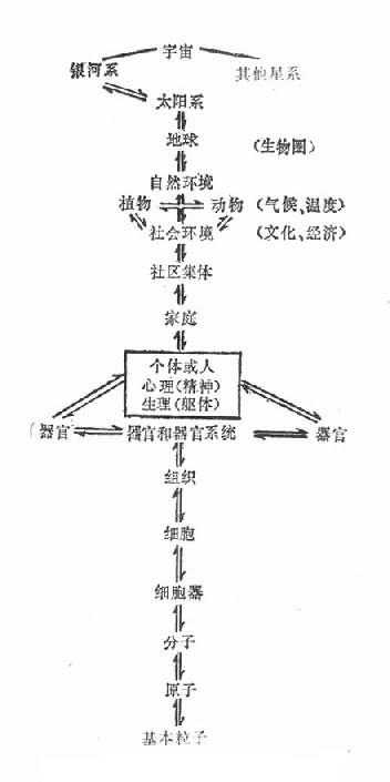 人是多层次的等级系统