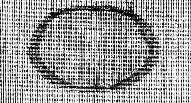 数字矩阵