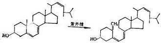 麦角甾醇 维生素D2