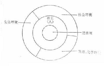 人与环境相互作用的轮状模型