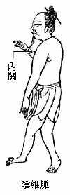 阴维脉