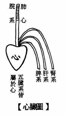 心脏图