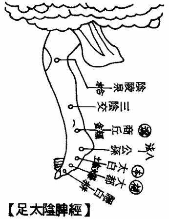 足太阴脾经