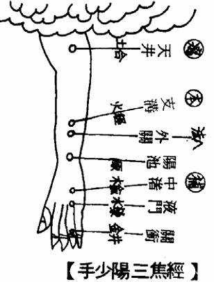 手少阳三焦经