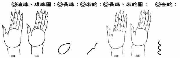 流珠、?h珠;?L珠、?砩撸蝗ド?D