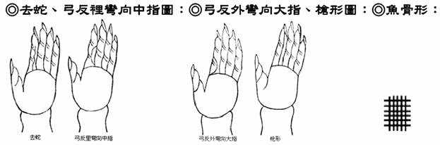 去蛇、弓反?e??向中指?D;弓反外??向大指、??形?D;?~骨形: