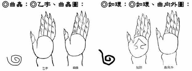曲?x、乙字、曲?x?D;如?h、曲向外?D