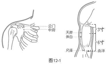 手太阴肺经穴