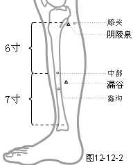 足厥阴肝经穴