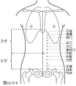 足阳明胃经穴