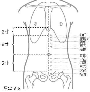足少阴肾经穴