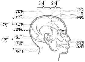 督脉穴